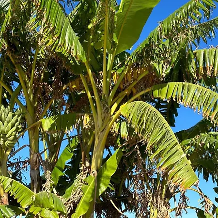 Couette-café Gozo Sunset 3*