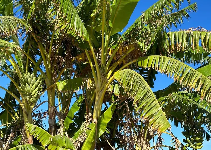 فندق مبيت وإفطار Gozo Sunset 3*